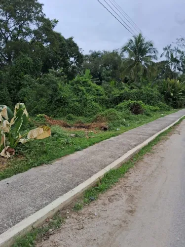 Terreno