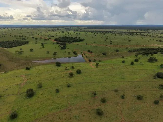 FAZENDA À VENDA ÁGUA CLARA/MS ATIVO RURAL ESTRUTURADO PARA PECUÁRIA DE ALTA PERFORMANC