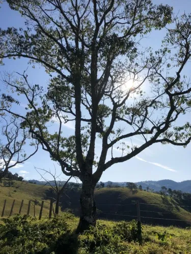 Terreno 48.000 m² em Cambuí - MG