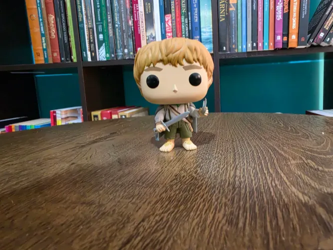 Funko pop Sam