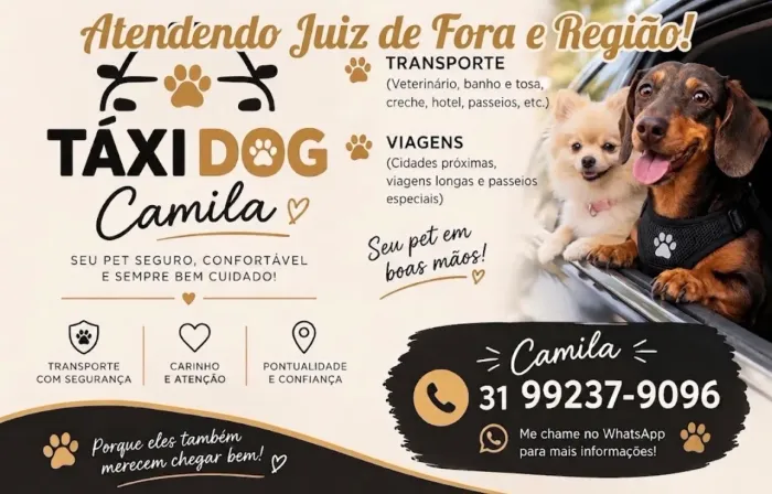 Táxi PET / Uber PET