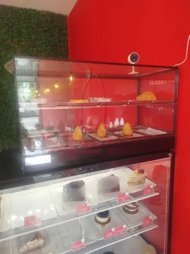 Estufa com 10 bandeja