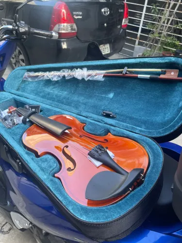 Violino