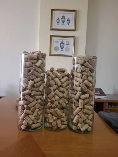 Coleção de Rolhas de Vinho para Adega e Decoração + Vasos de Vid