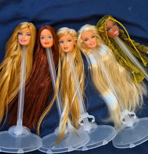 Barbie Reroots