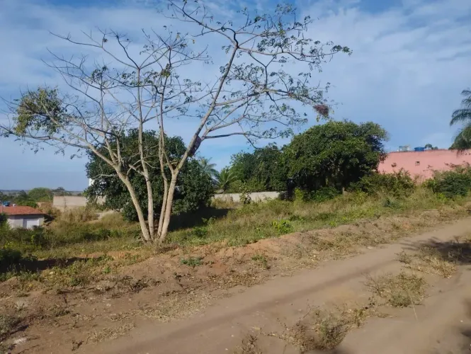 Lote 900m², Vassouras/Carpina/PE, Plano, Documentado, Perto da PE90 e do Posto Car, Negoci