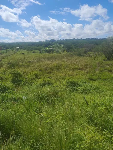 Vendo , troco parcelo terreno no santa Cecília no Lot. Jardim das palmeiras