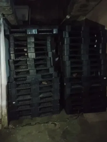 Paletes de plástico várias medidas