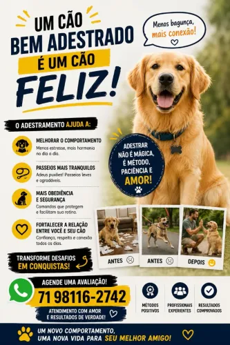 Adestramento de cães 