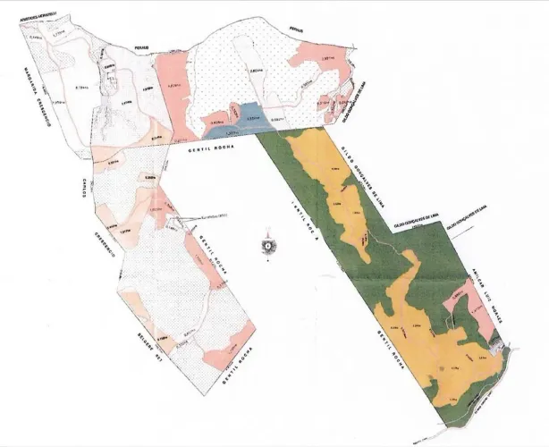 Terreno Rural - Venda - Sítio - 03 dormitórios - 163 hectares - Lagoa - Reflorestamento - 