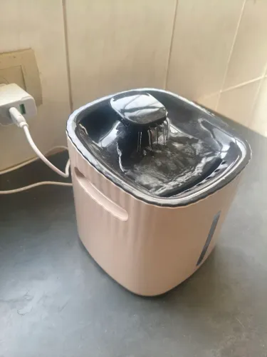 Fonte para gatos
