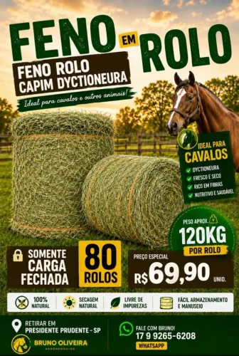 Feno Dyctioneura verde cavalo 120kg carga fechada