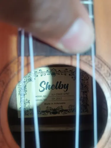 Ukulele Shelby Concert