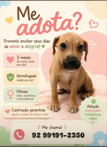 Adote 