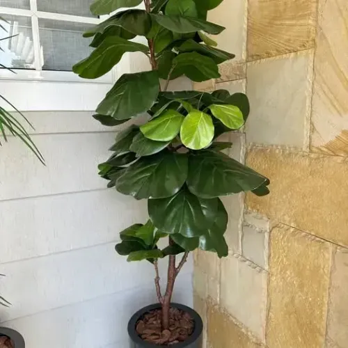 Planta Grande Bananeira Artificial com Vaso Premium