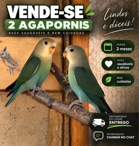 Vendo 150 cada