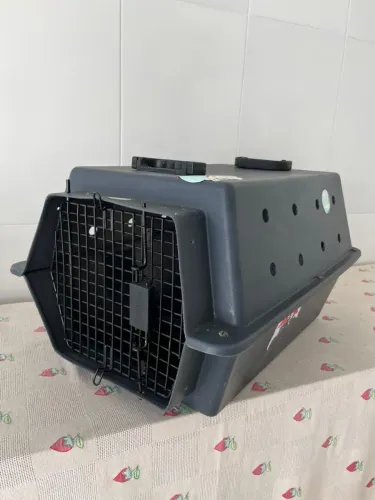 Caixa transportadora de pet, porte médio.