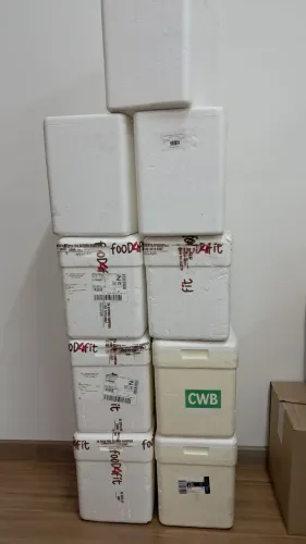Caixa de isopor 13l