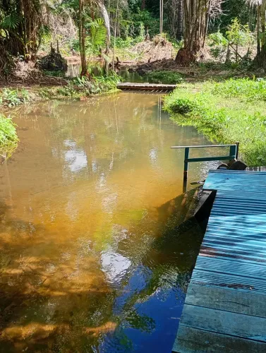 Perto de alter do chão a 2.500m