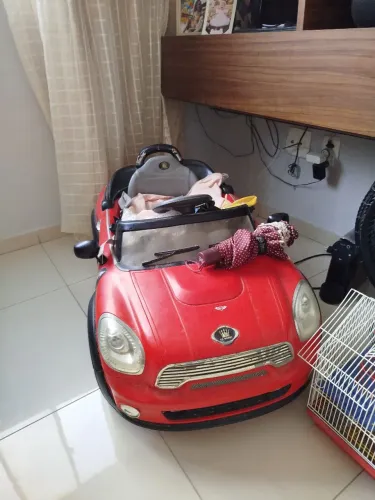 Carrinho elétrico