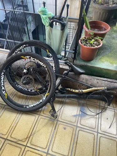 Bicicleta