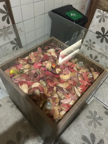 Mesa de vidro com quatro cadeiras