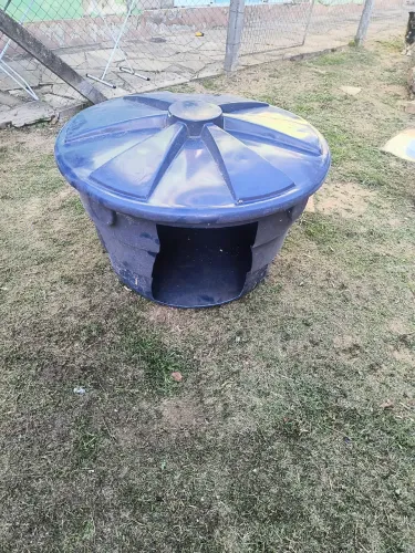 Casinha de cachorro