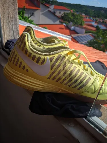 Lunar gato tamanho