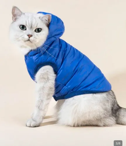 Roupa para seu Pet