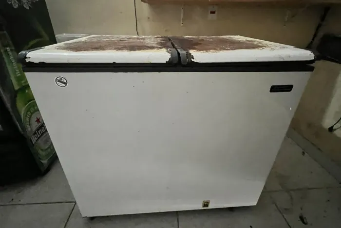 Freezer tamanho médio
