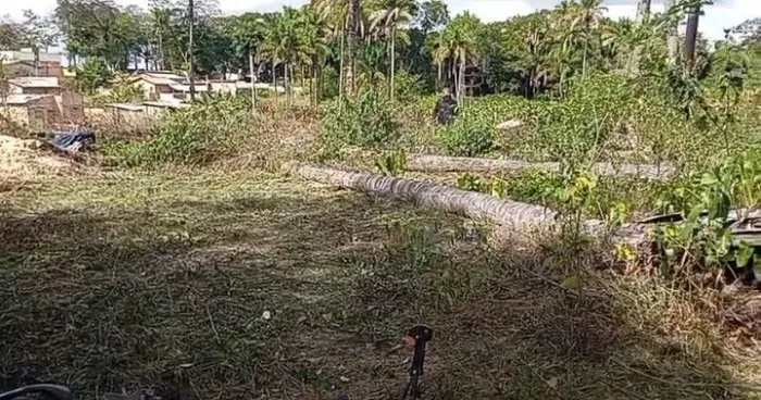 terreno 100x30 jardim das copaibas no alto nao alaga