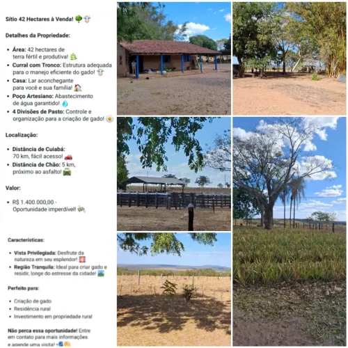 Imóvel para venda possui 420 metros quadrados com 2 quartos em Grande Terceiro - Cuiabá -