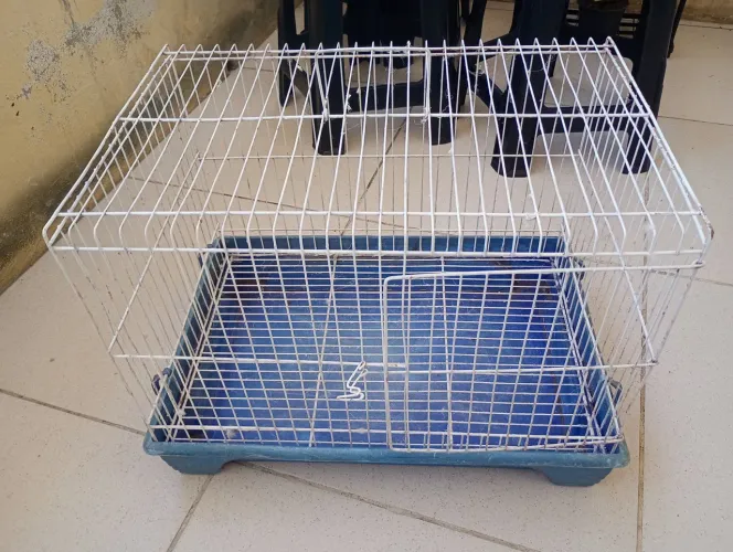 Gaiola para Roedores