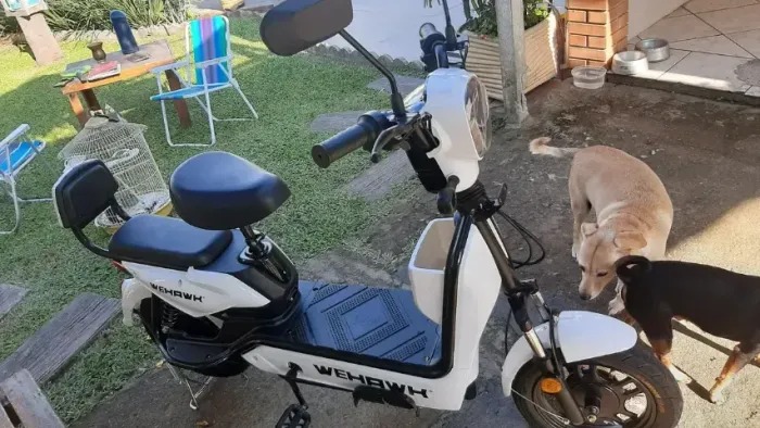 BICICLETA ELÉTRICA WX-3 800W NOVA 1 ANO DE GARANTIA + CESTA FRONTAL