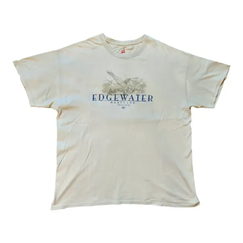 camiseta hanes vintage y2k (original importada, tagless 6.1 edgewater)