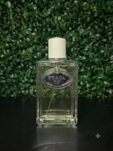 Prada Infusions