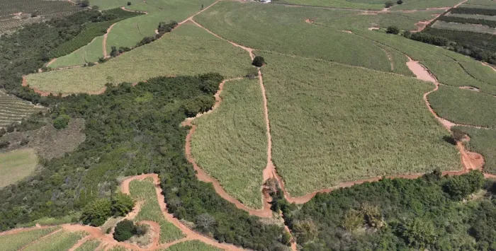 Sítio à venda em Monte Alto/SP - 26,66 ha com cana arrendada e renda ativa