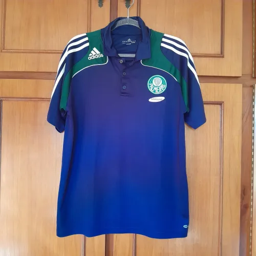 Palmeiras 2010 oficial