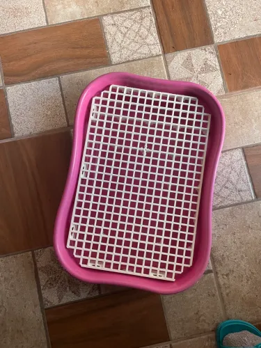 Cercado para porquinho da índia 