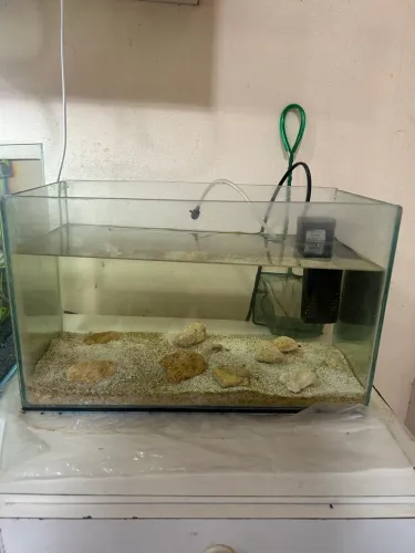 Aquário 