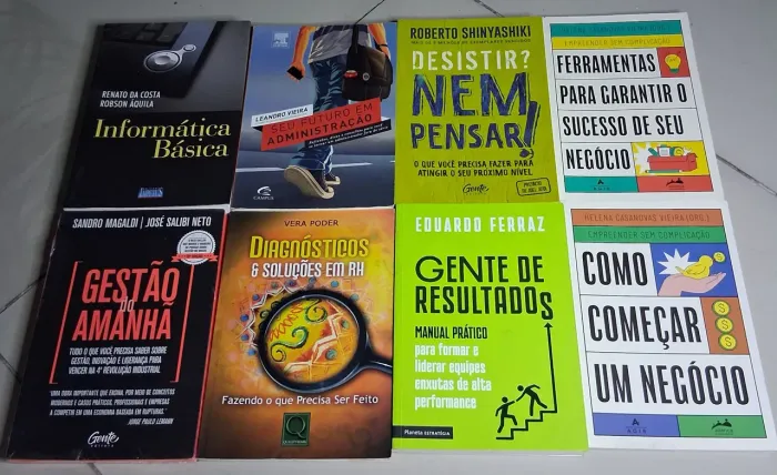 Livro Auto Ajuda e Gestão Lote