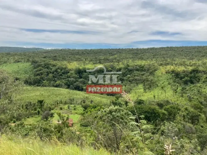 Fazenda 342 Alqueires (1.655 hectares) Arraias - TO