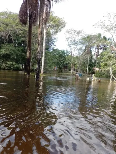 Imóvel para venda com 150 metros quadrados com 2 quartos em Zona - Rio Preto da Eva - AM