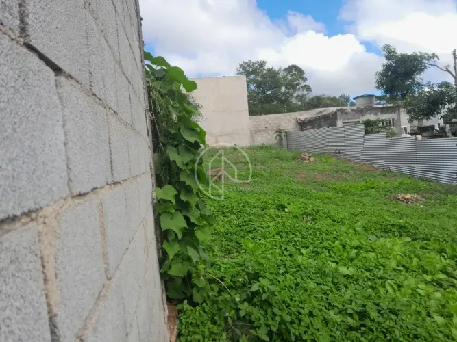 Imóvel para venda tem 300 metros quadrados em São Pedro - Juiz de Fora - MG
