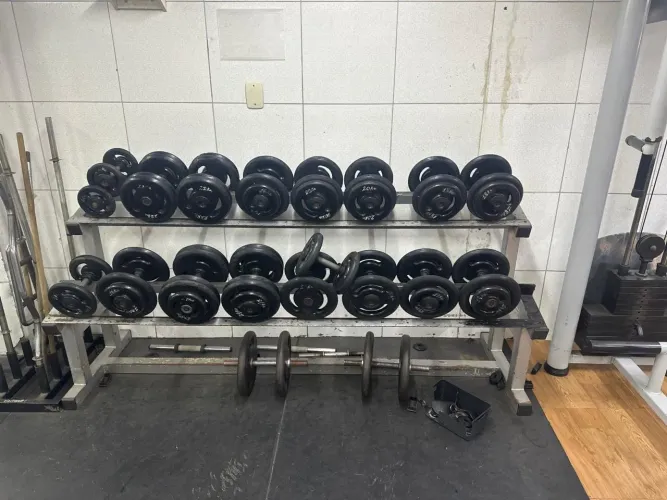 Kit dumbbell halter 