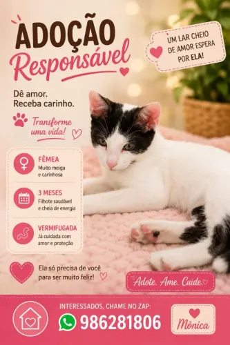 Gata filhote.