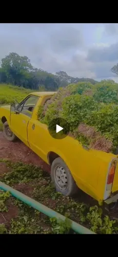 Ford Pampa L 1.6 (álcool) 1988
