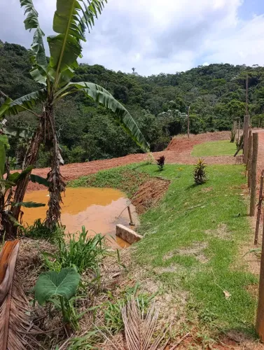 Vendo 5.000m² em holandinha...