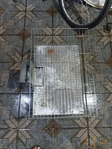 Gaiola para Roedores