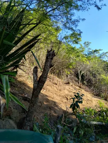 Vendo terreno em Barra de Guaratiba por apenas 25.000,00 á vista e parcelo com acréscimo.